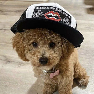 Meet your Posher, Jay